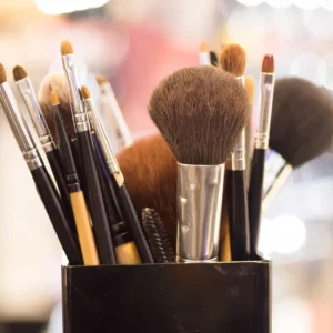 Professional Makeup Brush Set in Holder